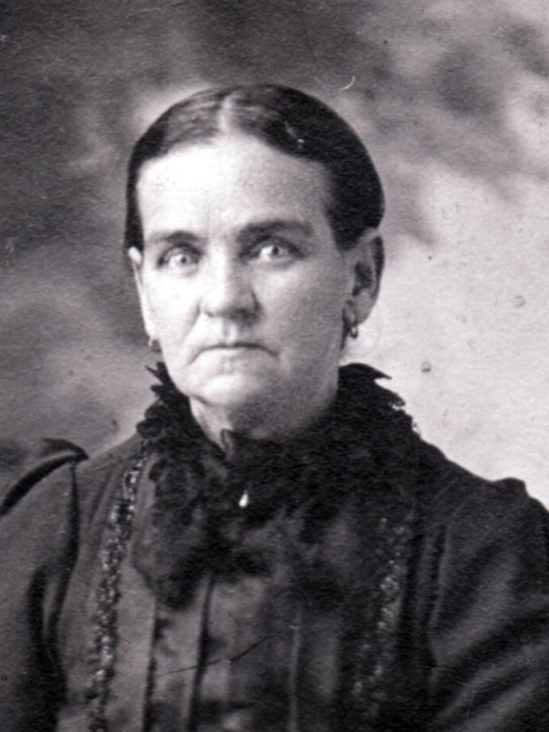 Jane Elizabeth Cook (1848 - 1925) Profile